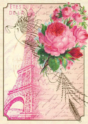 BN5053-Aviary Eiffel Boxed Note