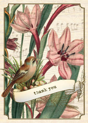 BN5064-Aviary Lilly Boxed Note