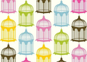 BN5071-Brights Bird Cage Boxed Note