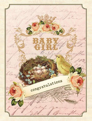 Vintage birds nest new baby girl greeting card